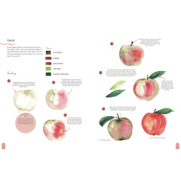 Paint 50: Watercolour Nature i gruppen Hobby & Kreativitet / Bøger / Instruktionsbøger hos Pen Store (137229)