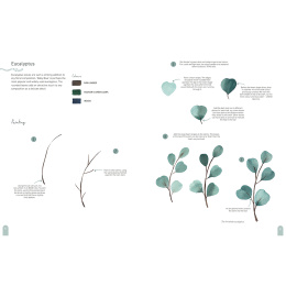 Paint 50: Watercolour Nature i gruppen Hobby & Kreativitet / Bøger / Instruktionsbøger hos Pen Store (137229)