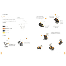 Paint 50: Watercolour Nature i gruppen Hobby & Kreativitet / Bøger / Instruktionsbøger hos Pen Store (137229)