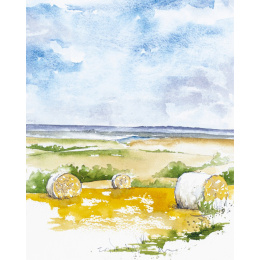 Painting Landscapes i gruppen Hobby & Kreativitet / Bøger / Inspirationsbøger hos Pen Store (137230)