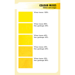 The Artist's Colour Mixing Card Deck - Watercolour i gruppen Hobby & Kreativitet / Bøger / Instruktionsbøger hos Pen Store (137233)