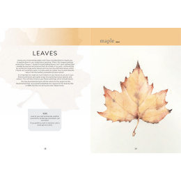 The Colour Mixing Guide: Watercolour Botanicals i gruppen Hobby & Kreativitet / Bøger / Inspirationsbøger hos Pen Store (137234)