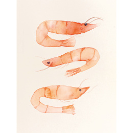 The Colour Mixing Guide: Watercolour Seashore i gruppen Hobby & Kreativitet / Bøger / Inspirationsbøger hos Pen Store (137235)