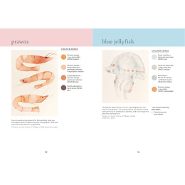The Colour Mixing Guide: Watercolour Seashore i gruppen Hobby & Kreativitet / Bøger / Inspirationsbøger hos Pen Store (137235)