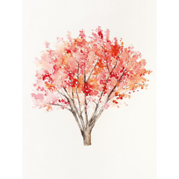 The Colour Mixing Guide: Watercolour Woodland i gruppen Hobby & Kreativitet / Bøger / Inspirationsbøger hos Pen Store (137236)