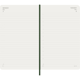 Kalender 12M Daily 2027 Softcover Large Myrtle Green i gruppen Papir & Blokke / Kalendere / 12 mdr kalendere hos Pen Store (137430)