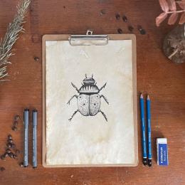 Pigment Liner sæt 12 stk i gruppen Penne / Kunstnerpenne / Fineliners hos Pen Store (137609)