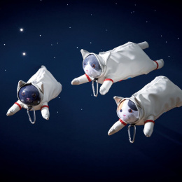 Penalhus Astro Cat Mikeco i gruppen Penne / Pentilbehør / Penalhus og etui hos Pen Store (137909)