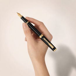 Meridian Matte Black/Gold Reservoar i gruppen Penne / Fine Writing / Eksklusive penne hos Pen Store (138299_r)