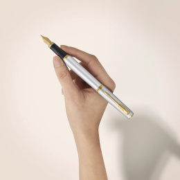 Meridian Chrome/Gold Fyldepen i gruppen Penne / Fine Writing / Fyldepenne hos Pen Store (138303_r)
