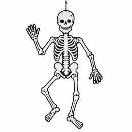 Skelet selvlysende 120 cm i gruppen Kids / Højtider / sæson for børn / Børnenes Halloween hos Pen Store (138370)